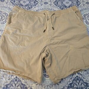 American Eagle Outfitters Light Tan Shorts